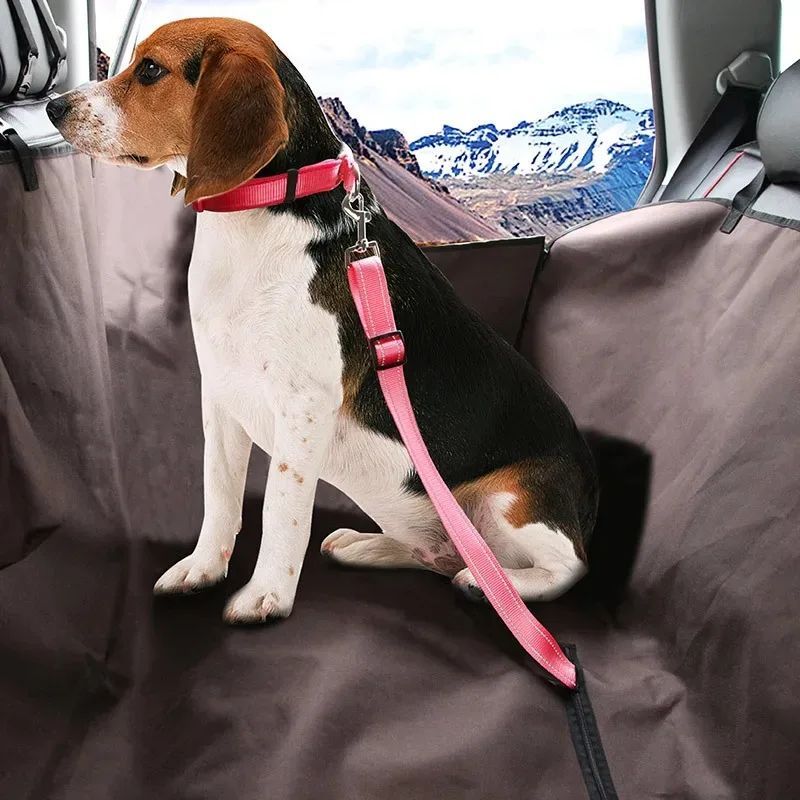 Adjustable Pet Car Seat Belt — additional product view 4